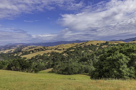 Home Study for Adoption in Santa Rosa