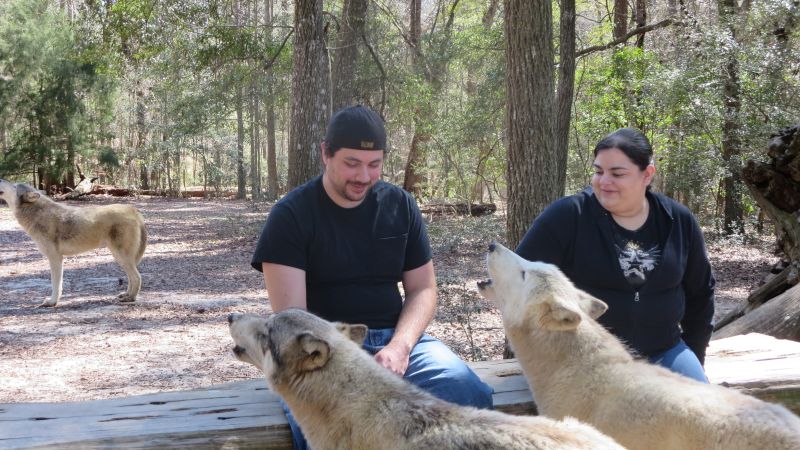 A Group Howling Session