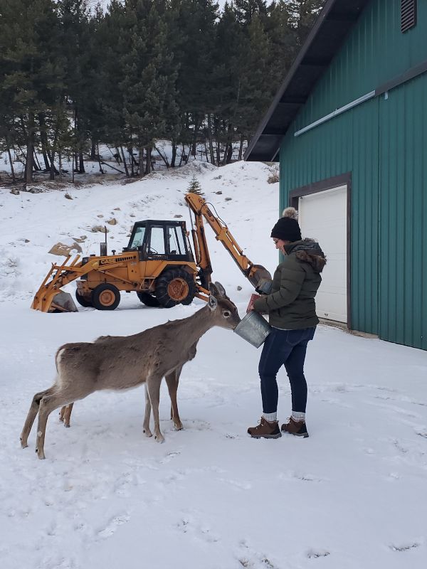 Alaina Feeding a Deer