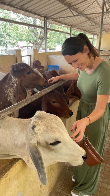 Kristen With Cows in India - She Loves Animals!